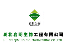 �����������﹤�����޹�˾