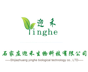 ʯ���fӭ������Ƽ����޹�˾