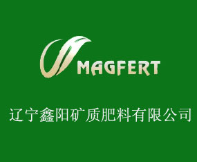 �|����ꖵV�|(zh��)�������޹�˾