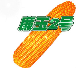 �ӱ��G�S�N�I(y��)���޹�˾����2015���ݷ��ϕ�-��ʮ������ԭ���ϣ��r(n��ng)�Y���a(ch��n)Ʒ��������Ϣ������