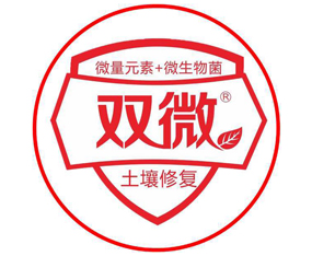 ������p΢�������B(t��i)�ʘI(y��)���޹�˾