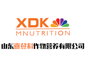 ɽ�|ϲ�ǿ�����I�B(y��ng)���޹�˾