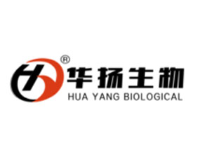 ɽ�|�A�P(y��ng)���＼�g(sh��)���޹�˾