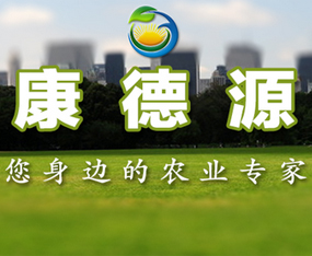 ɽ�|����Դ�r(n��ng)�I(y��)�Ƽ����޹�˾