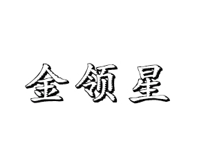 ɽ�|�I(l��ng)������Ƽ����޹�˾