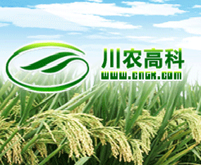 �Ĵ��r(n��ng)��߿��r(n��ng)�I(y��)����؟(z��)�ι�˾