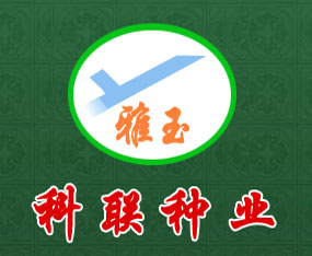 �Ĵ����Ͽ�(li��n)�N�I(y��)����؟(z��)�ι�˾