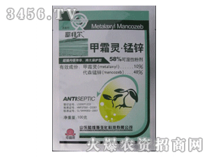 ���S˹��˪�`�i�\