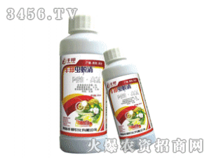 �S��-�x͑�壨2��