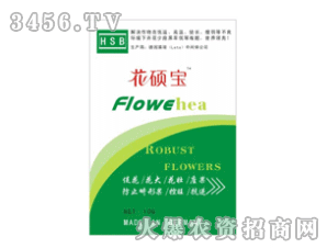 �S�����-���T��