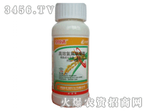 �S��-�x͑��