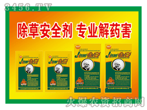 ��̩��-��