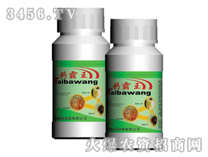 �������}����