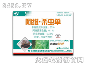 �������S���x��