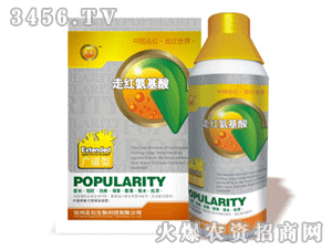 �߼t������