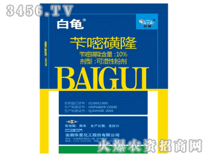 10%�S�׻�¡-����