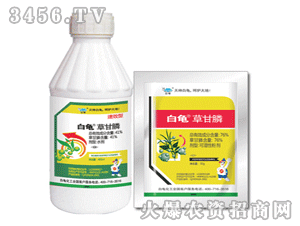 ����-�ݸ��