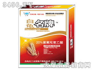 ��������-20%�ȷ���������