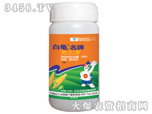 ��������-ݬȥ��