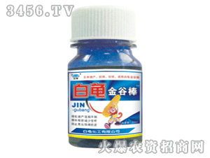 ������Ȱ�