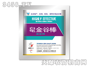 ������Ȱ�(�Gо��)