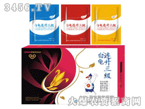 �����B�����������ף�