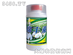 �������S��