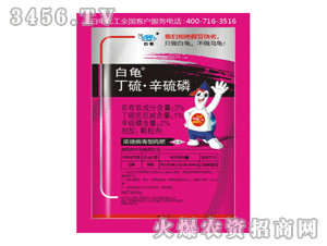 ����������-����