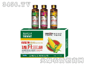 �����B������(���׌���)