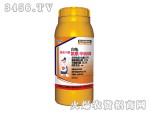 ��������-�����ף����x18�룩