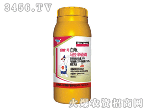 �����R��-�����ף�ä��1̖��