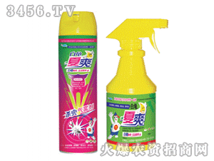 ������ˬ