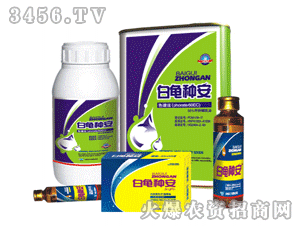 �����N��