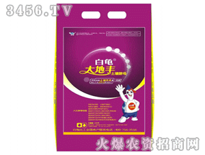 ��������S������ĸ1