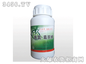 ̩ɽ-���ȶ�����