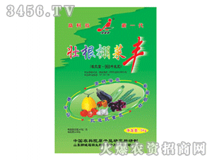 �Ӽ���-�Ѹ�����S