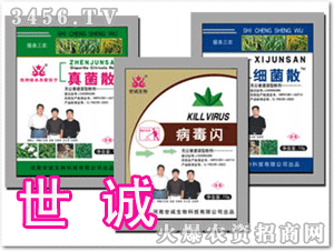 ���\�����W�����ͷۄ�