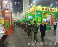 �𱬾W(w��ng)���r(n��ng)�Y�ИI(y��)�W(w��ng)�j(lu��)���̵����E