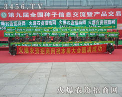 ���˾߂��_�؄�(chu��ng)�µ����R