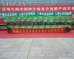 ��(chu��ng)���ǻ𱬾W(w��ng)������ǰ�l(f��)չ���Ƅ���