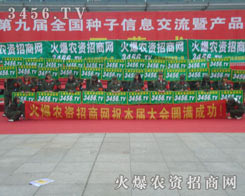 ����꠲��R�P��������ʮ��ı��^����