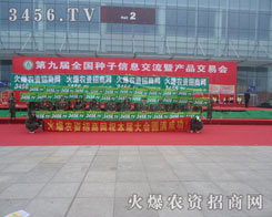 �ذ����ƏV���ǻ𱬾W������չ�F