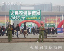 �ڕ����ό��M���ĸɄŰl(f��)�]������M����