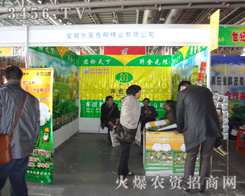 �|�����N