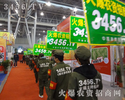 �ഺ�Ļ������Gɫ����