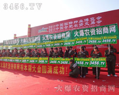 �����(du��)��(sh��)�^��ӿ��Ū����2011�Ϸ��r(n��ng)�Y��(hu��)