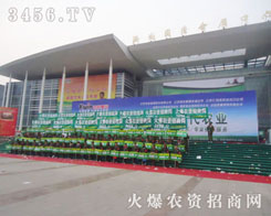 ����꠳����