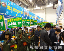 һ�N�Գֵ��׵ľ��������W�⣡