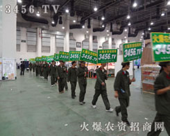 �ゃ�Ǖ�����һ�仨���A�ӵ��Ľ^�����ŗ�