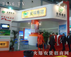 �Y�������F(tu��n)������؟(z��)�ι�˾